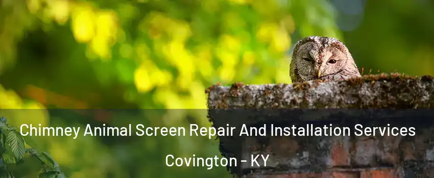  Chimney Animal Screen Repair And Installation Services Covington - KY