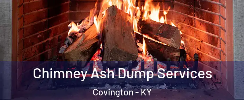  Chimney Ash Dump Services Covington - KY