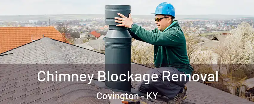  Chimney Blockage Removal Covington - KY