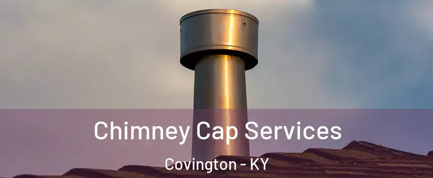  Chimney Cap Services Covington - KY