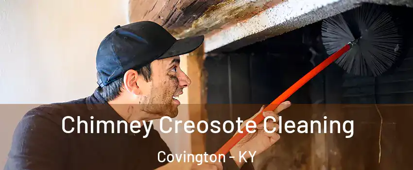 Chimney Creosote Cleaning Covington - KY