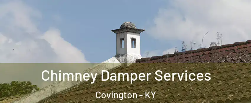  Chimney Damper Services Covington - KY