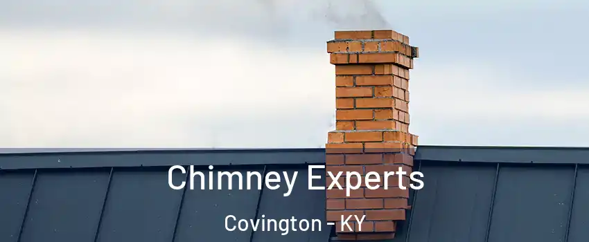 Chimney Experts Covington - KY