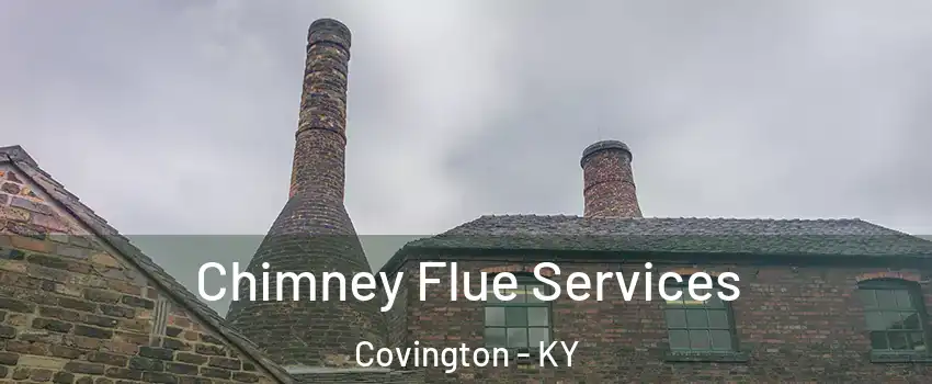  Chimney Flue Services Covington - KY