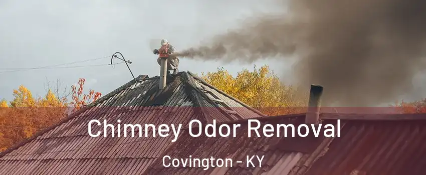  Chimney Odor Removal Covington - KY