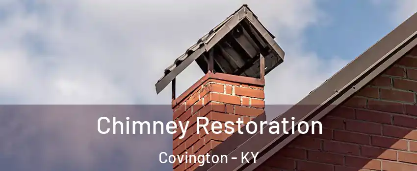  Chimney Restoration Covington - KY