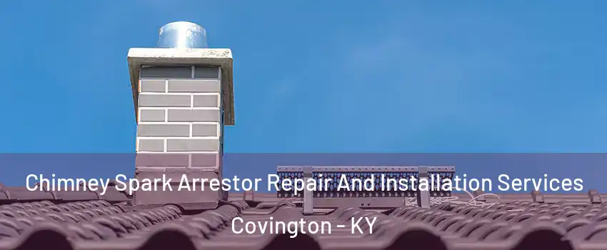  Chimney Spark Arrestor Repair And Installation Services Covington - KY