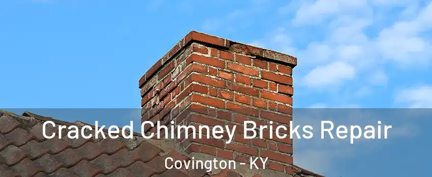  Cracked Chimney Bricks Repair Covington - KY