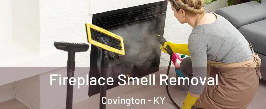  Fireplace Smell Removal Covington - KY