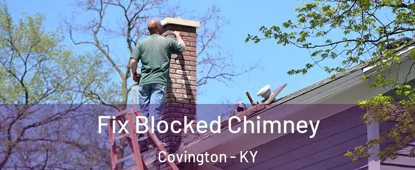  Fix Blocked Chimney Covington - KY