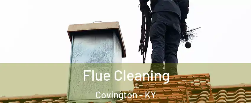  Flue Cleaning Covington - KY
