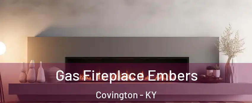  Gas Fireplace Embers Covington - KY