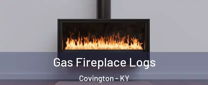  Gas Fireplace Logs Covington - KY