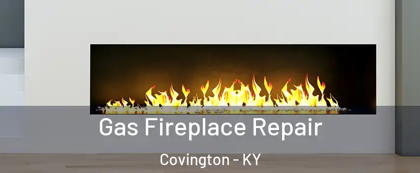  Gas Fireplace Repair Covington - KY