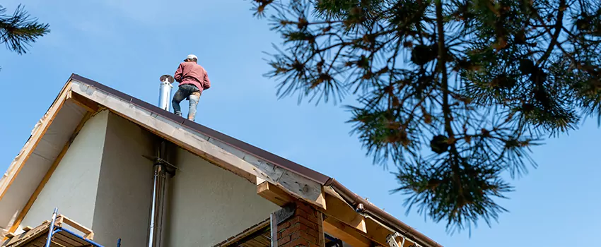 Birds Removal Contractors from Chimney in Covington, KY