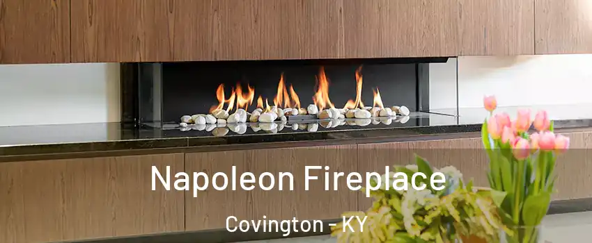  Napoleon Fireplace Covington - KY