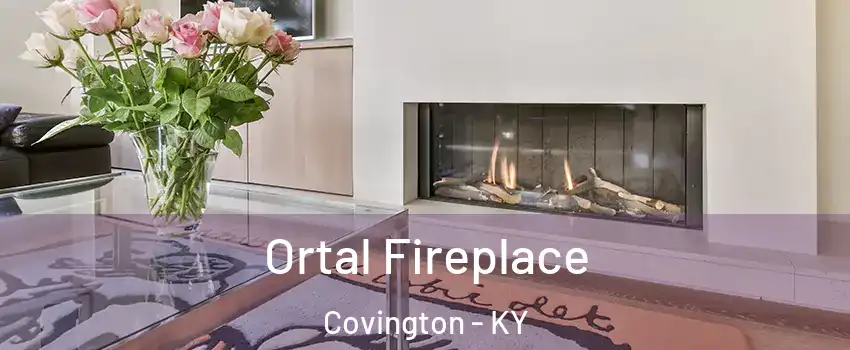 Ortal Fireplace Covington - KY